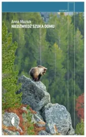 niedzwiedz-szuka-domu-anna-maziuk