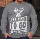 longsleeve-dbz-training-to-go-gohan-stan-nowy