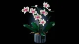 lego-icons-orchidea-10311-stan-nowy-certyfikaty-opinie-atesty-ce-fsc