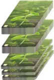 lesne-rozdanie-rebel-czas-rozgrywki-do-1-godziny