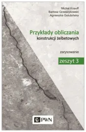 przyklady-obliczania-konstrukcji-zelbetowych-z-3