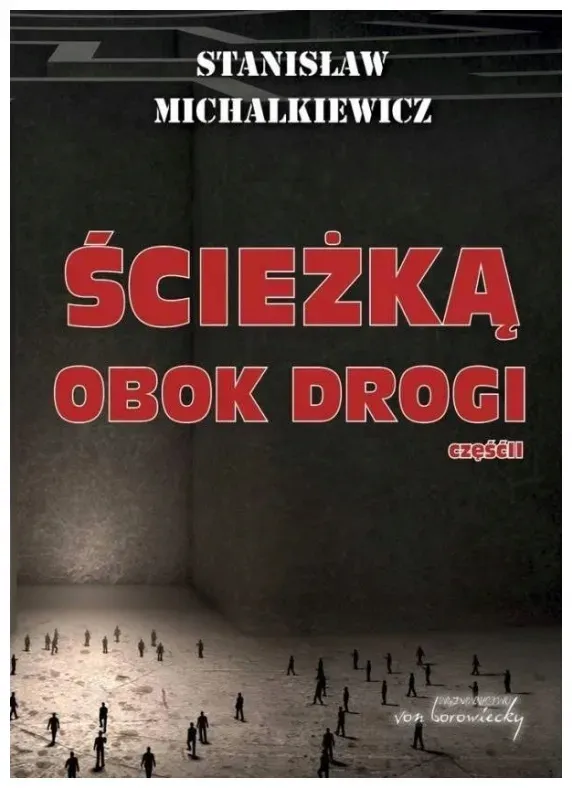 sciezka-obok-drogi-czesc-2-michalkiewicz