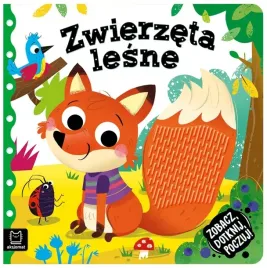 zobacz-dotknij-poczuj-zwierzeta-lesne-grazyna