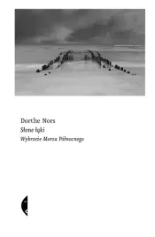 slone-laki-wybrzeze-morza-polnocnego-dorthe-nors