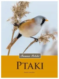 ptaki-fauna-polski-dorota-zawadzka