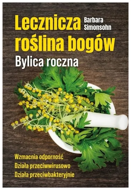 Lecznicza roślina bogów Bylica roczna