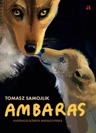 ambaras-tomasz-samojlik