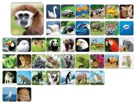 memory-zoo-gra-planszowa
