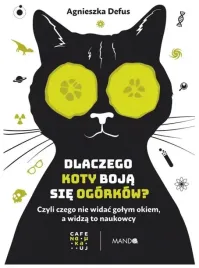 dlaczego-koty-boja-sie-ogorkow-agnieszka-defus