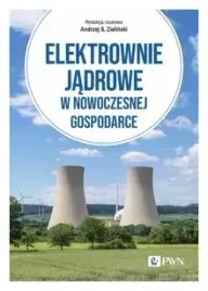 elektrownie-jadrowe-w-nowoczesnej-gospodarce-
