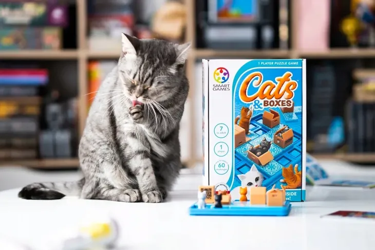 cats-and-boxes-smart-games-eng-iuvi-games-maksymalna-liczba-graczy-1