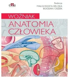anatomia-czlowieka-wozniak-m-bruska-b-ciszek