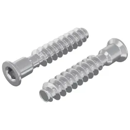 sruba-z-glowka-kapeluszowa-2-szt-srebrny-m7-x-40-mm-stal