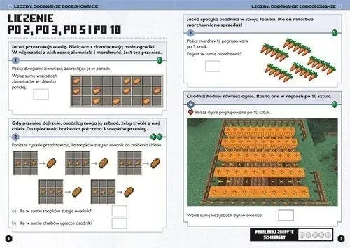 minecraft-matematyka-megazadania-8-bohater-minecraft