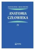 anatomia-czlowieka-tom-4-bochenek-reicher