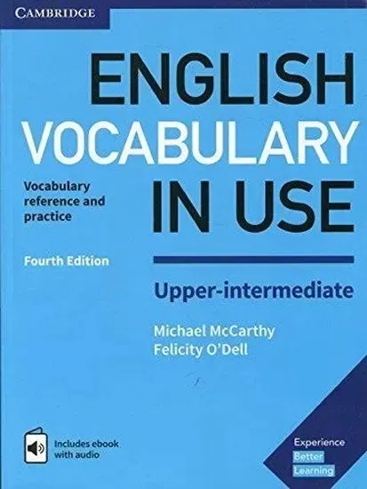mccarthy-english-vocabulary-in-use-stan-nowy
