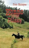 kulczyna-konno-przez-polske-stan-nowy