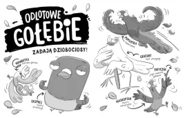 odlotowe-golebie-zadaja-dziobociosy-a-mcdonald