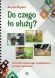 do-czego-sluzy-amanda-hopkins-stan-nowy