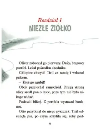 operacja-niezle-ziolko-jorn-lier-horst