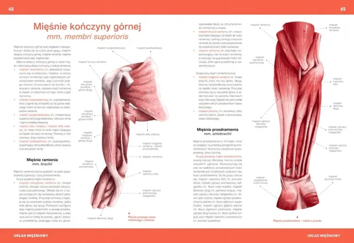 atlas-anatomiczny-justyna-mazurek-wydawnictwo-wydawnictwo-sbm