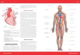atlas-anatomiczny-justyna-mazurek-jezyk-polski