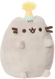 pusheen-party-maly-stan-nowy