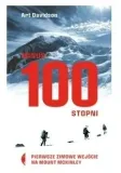 minus-100-stopni-davidson-art-czarne