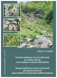 petasites-kablikianus-tausch-ex-berchtold-as-