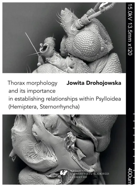 thorax-morphology-and-its-importance