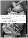 thorax-morphology-and-its-importance