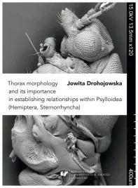 thorax-morphology-and-its-importance