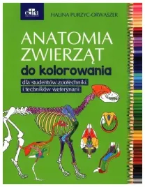 anatomia-zwierzat-do-kolorowania-h