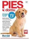 pies-w-domu-2-2021