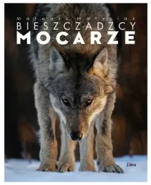 bieszczadzcy-mocarze-wilk-album-mateusz-matysiak