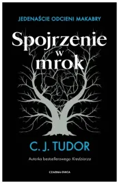 spojrzenie-w-mrok-c-j-tudor