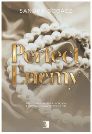 perfect-enemy-the-enemies-tom-1-sandra-bogacz