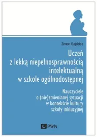 uczen-z-lekka-niepelnosprawnoscia-intelektualna
