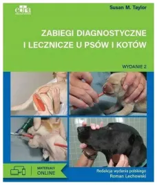 zabiegi-diagnostyczne-i-lecznicze-u-psow-i-kotow