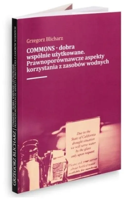 commons-dobra-wspolnie-uzytkowane