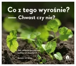 co-z-tego-wyrosnie-chwast-czy-nie-barbel-oftring