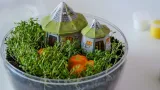 harry-potter-terrarium-19248-material-karton-plastik
