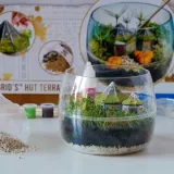 harry-potter-terrarium-19248-certyfikaty-opinie-atesty-ce