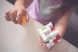 smart-games-plug-and-play-puzzler-gift-box-rodzaj-podstawa