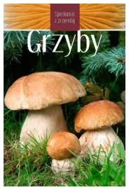 grzyby-spotkania-z-przyroda-marek-snowarski