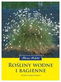 rosliny-wodne-i-bagienne