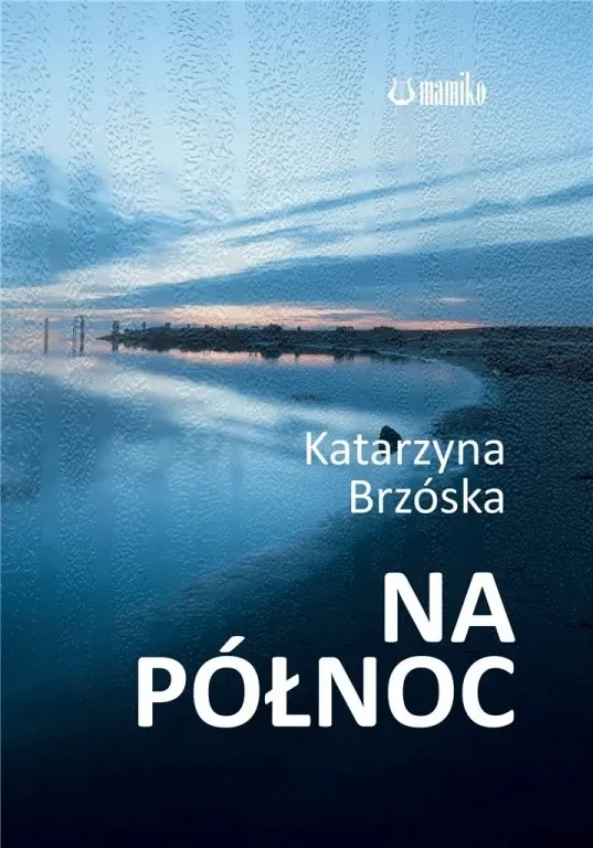 na-polnoc-brzoska