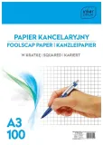 papier-biurowy-interdruk-format-a3-80g-100-arkuszy