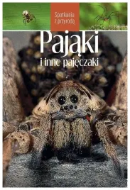 pajaki-i-inne-pajeczaki-spotkania-z-przyroda-