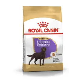 royal-canin-labrador-retriever-sterilised-adult-12kg-karma-sucha-dla-psow